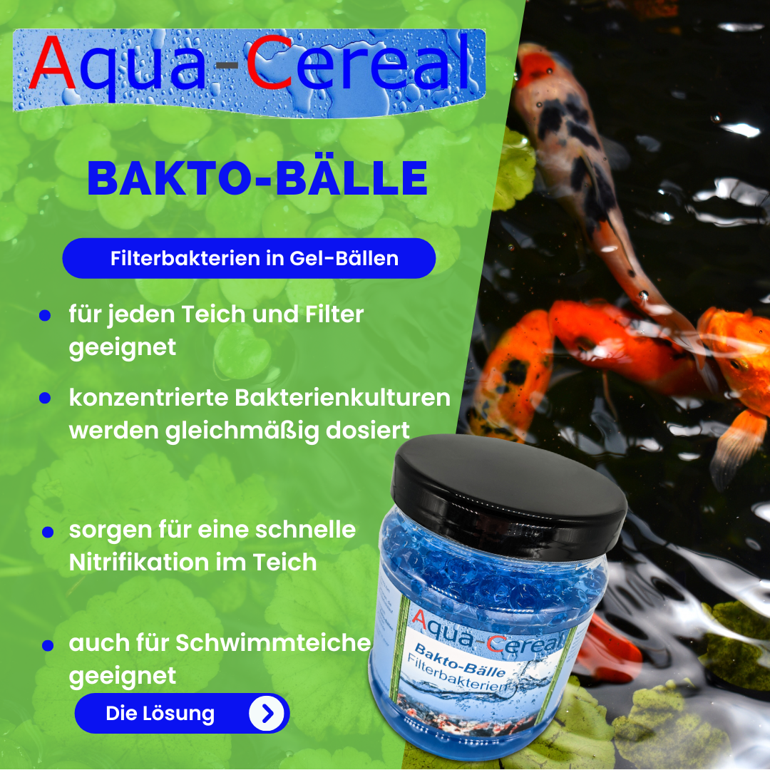 Bakto-Bälle Filterbakterien ab 1000ml