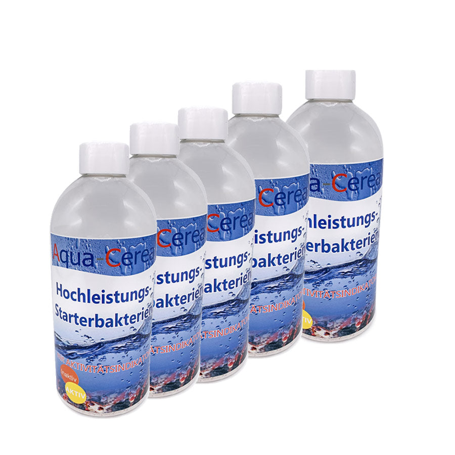 Starterbakterien mit Aktivitätsindikator ab 10.000 Liter