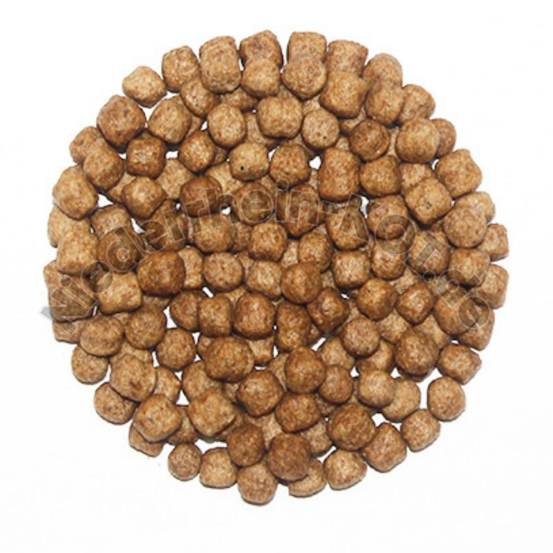 Teichfutter  Coppens Pond Pellet 