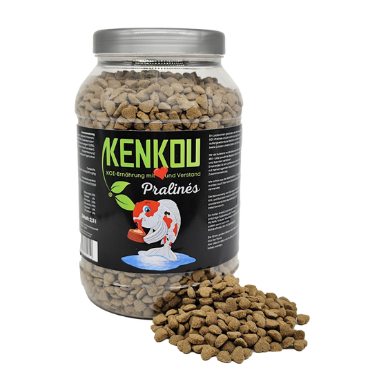 KENKOU® KOI - Pralines